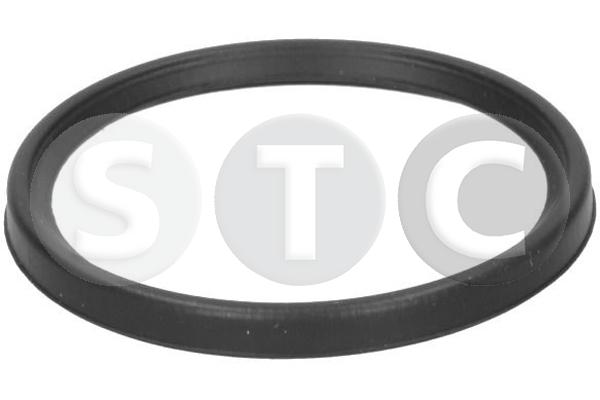 T479281