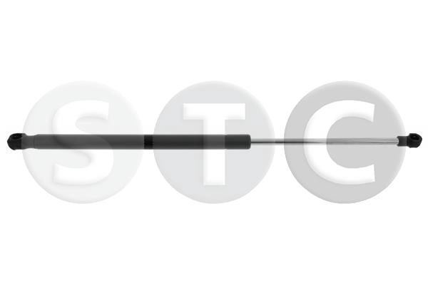 T446306