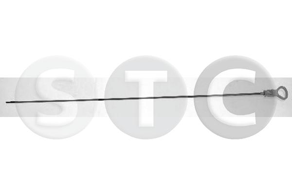 T404754