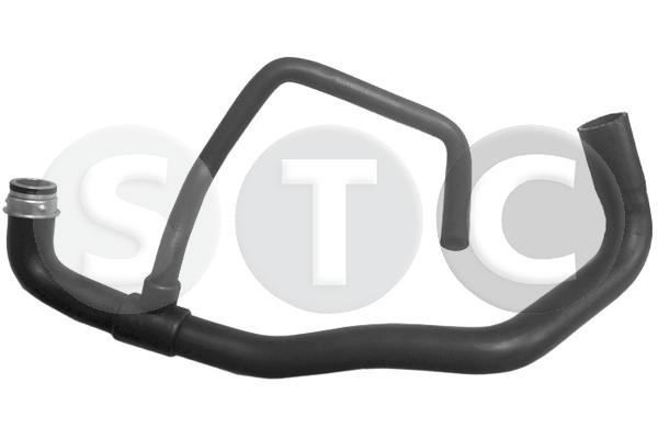 T408557