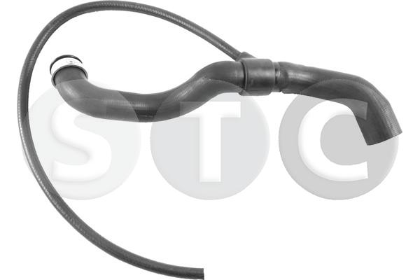 T499254