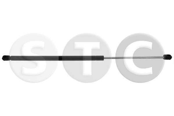 T446666