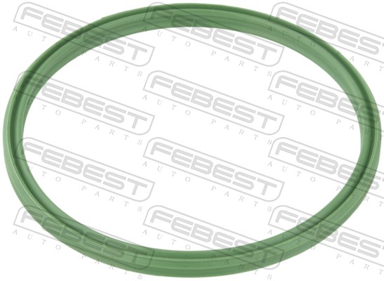 RINGAH-008