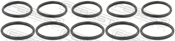 RINGWH-015-PCS10