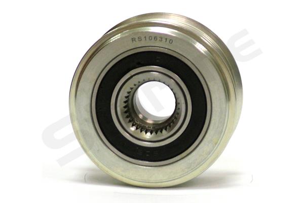 RS 106310