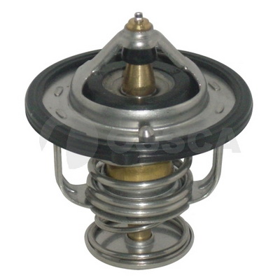 FS0515171*