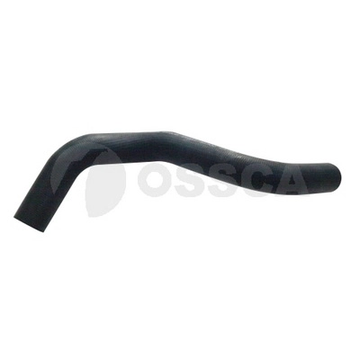 66805