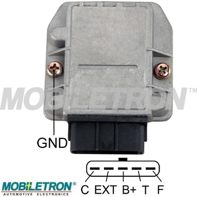 IGT019