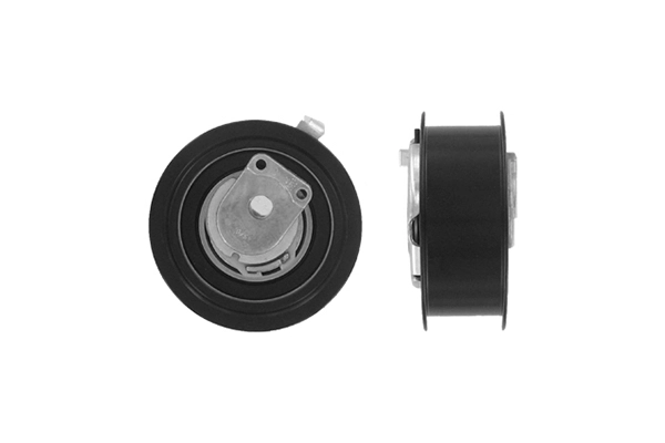 VKM 11220