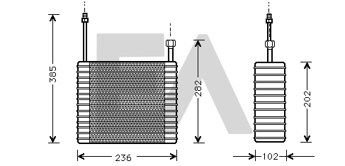 8FV351336031