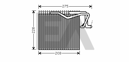 43B55005