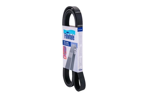 BP6PK1818