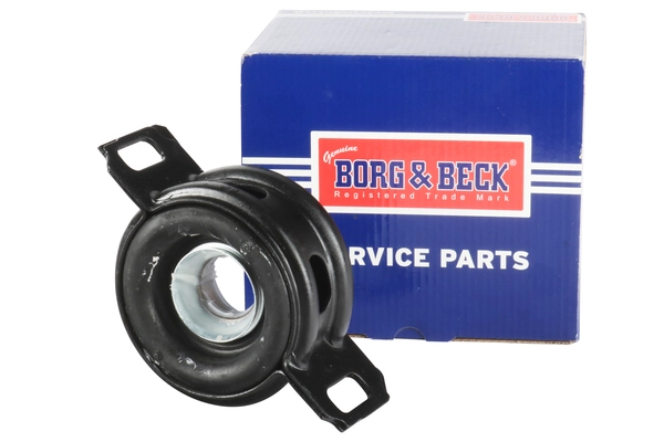 BPB1010