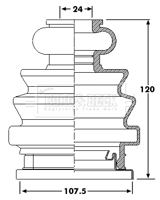 BCB6204