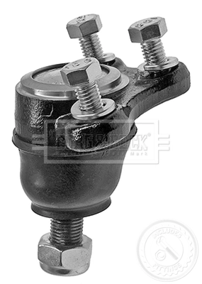 BBJ5253