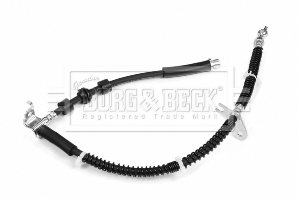 BBH8284