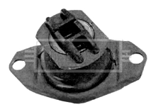 BEM3039
