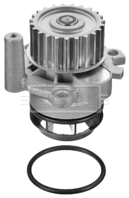 BWP2134