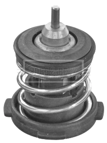 BBT489
