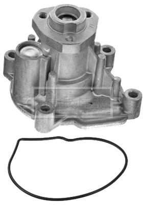 BWP2100