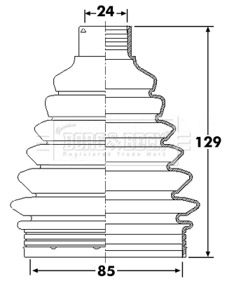 BCB6246