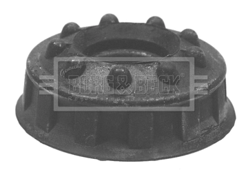 BSM5119
