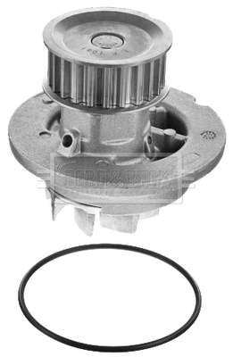 BWP2226