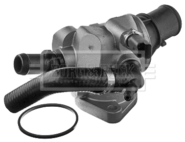 BBT206