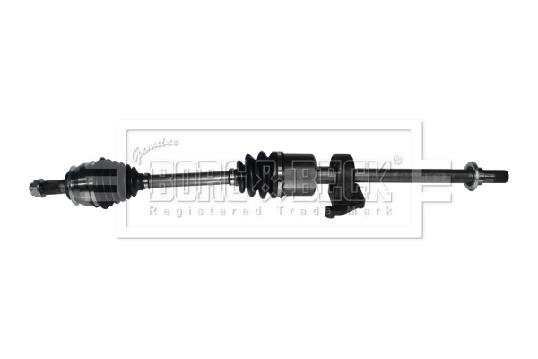 BDS1103