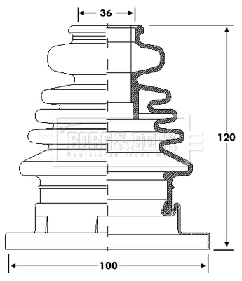 BCB6186