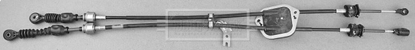 BKG1013