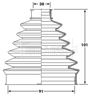 BCB6194