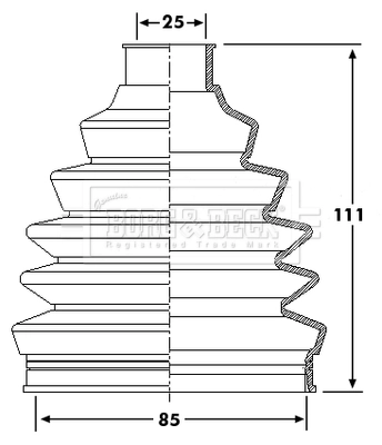 BCB6205