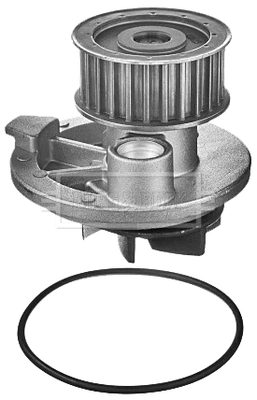 BWP2150