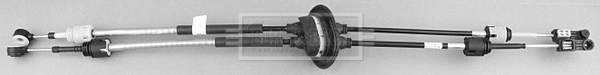 BKG1011