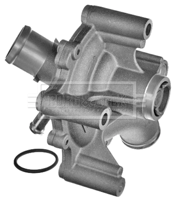BWP2213