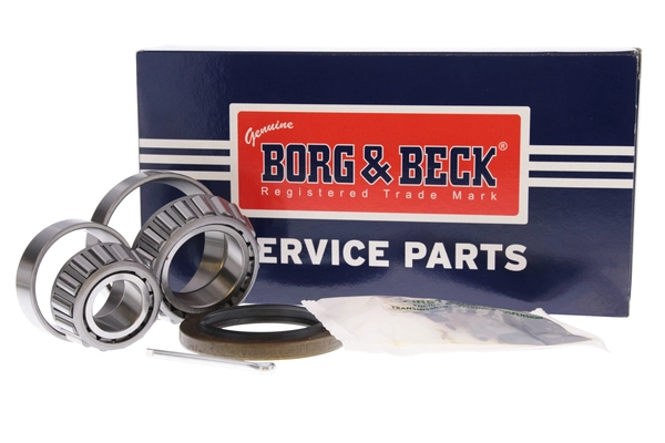 BWK695