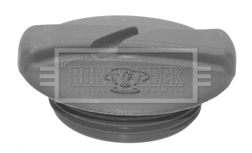 BRC113