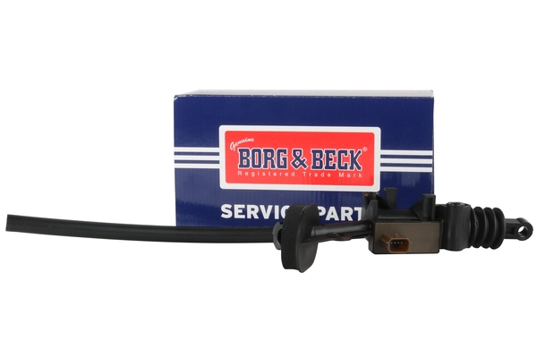BCM299