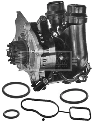BWP2360