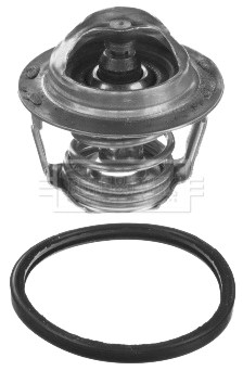BBT439