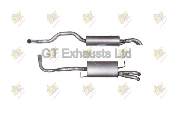GSE100