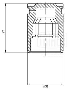 RCF 032019P