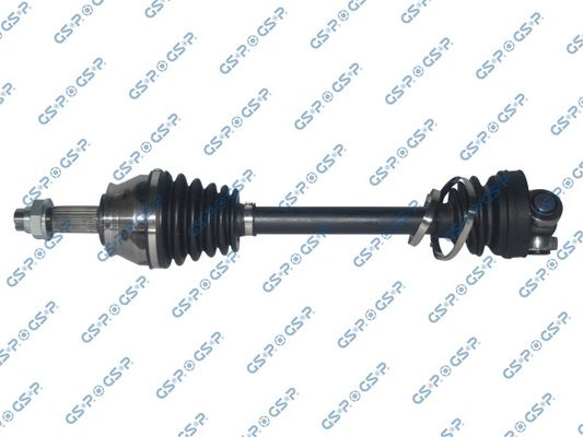 GSP-217194