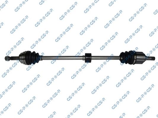 GSP-299205