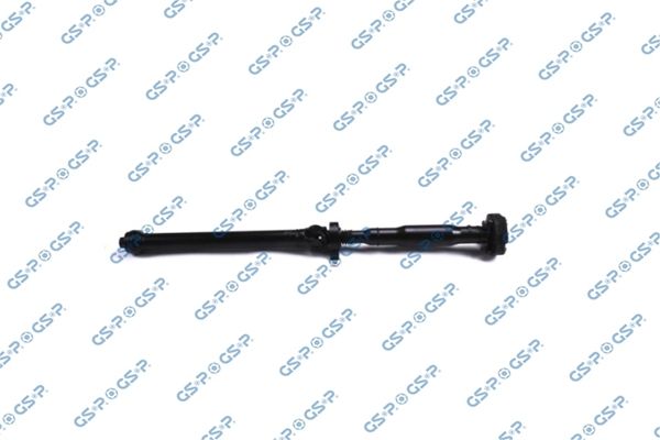 GSP-PS900170