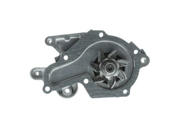 AIS-WPS007