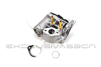 EEG-VA25