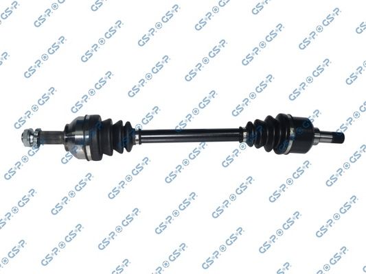GSP-210310