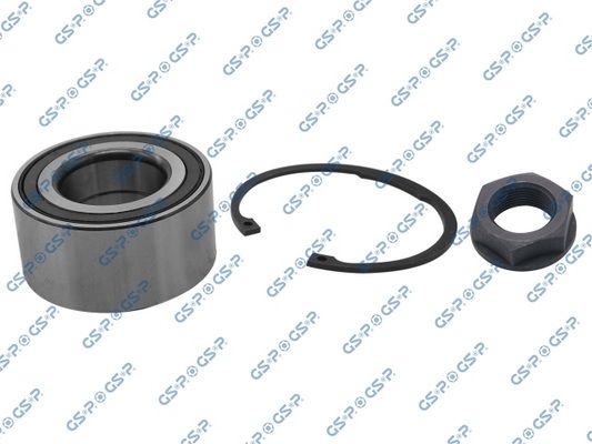 GSP-GKX0001